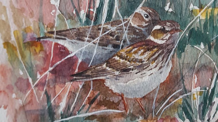 Hedelærker Lars Christoffersen