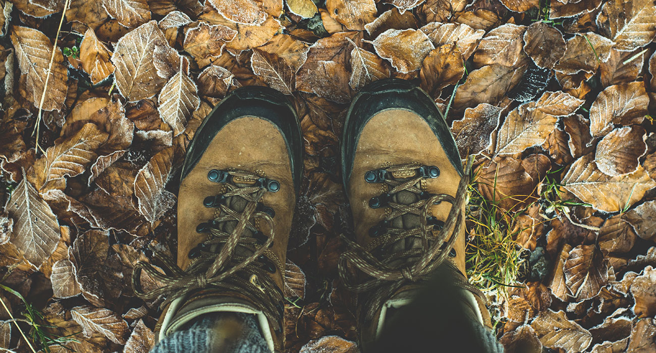 Boots Brown Dry 284711
