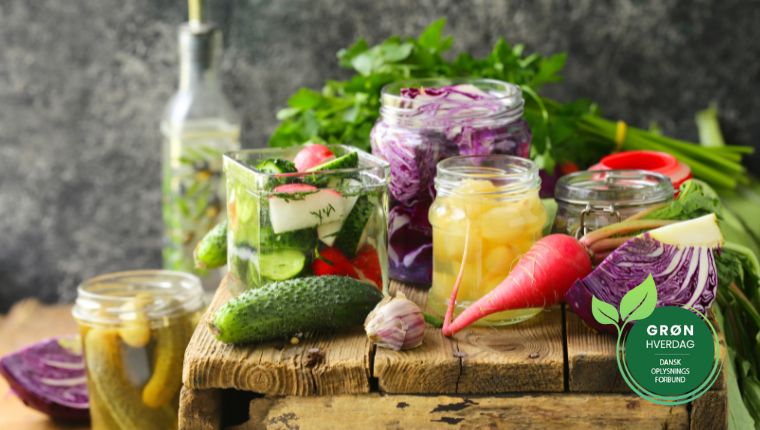 Fermentering Charlotte Juhl