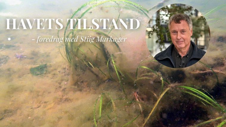 Havets Tilstand 2026